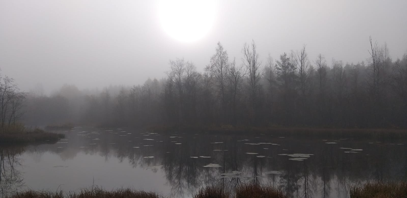 Здесь живет ВООПИиК