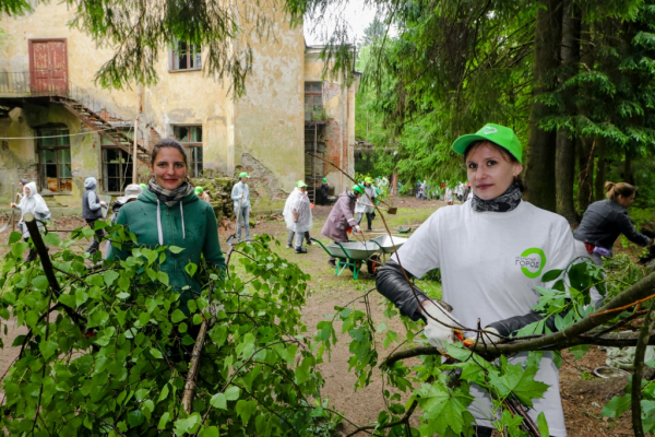 Волонтеры продолжили работы по расчистке территории дачи Карла Фаберже