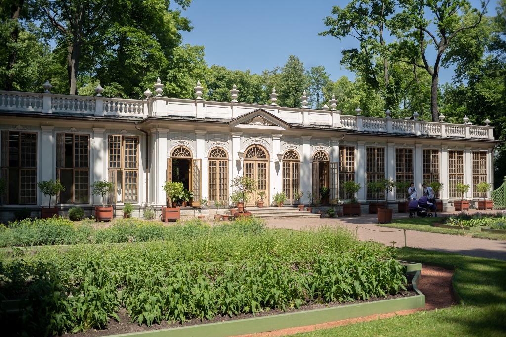 Летний сад