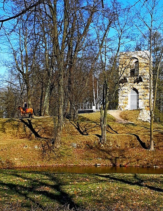 Усадьба П.К. Александрова (Львовский дворец)