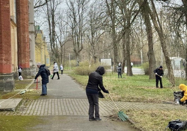 Волонтеры Открытого города приняли участие в субботниках на территории Дворцовых конюшен в Петергофе и на Смоленском лютеранском кладбище