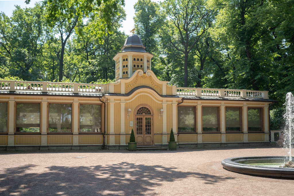 Летний сад