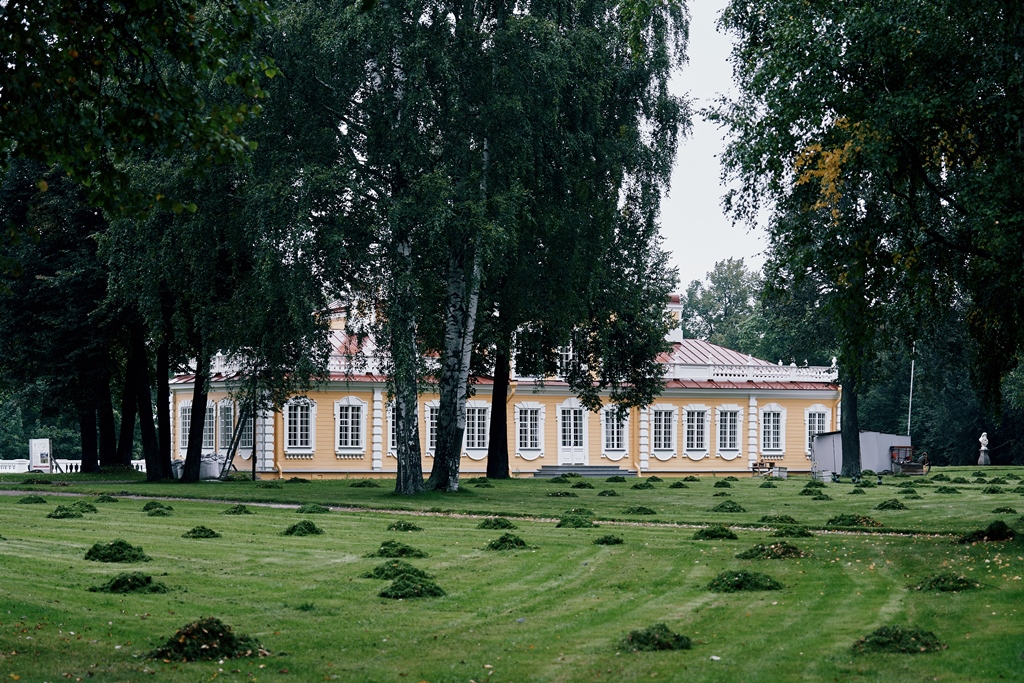 Усадьба П.К. Александрова (Львовский дворец)