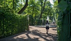Летний сад