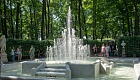Летний сад