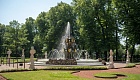 Летний сад