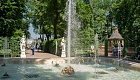 Летний сад